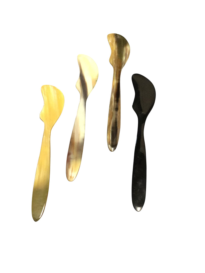 Assorted Horn Set of 2 Spreaders