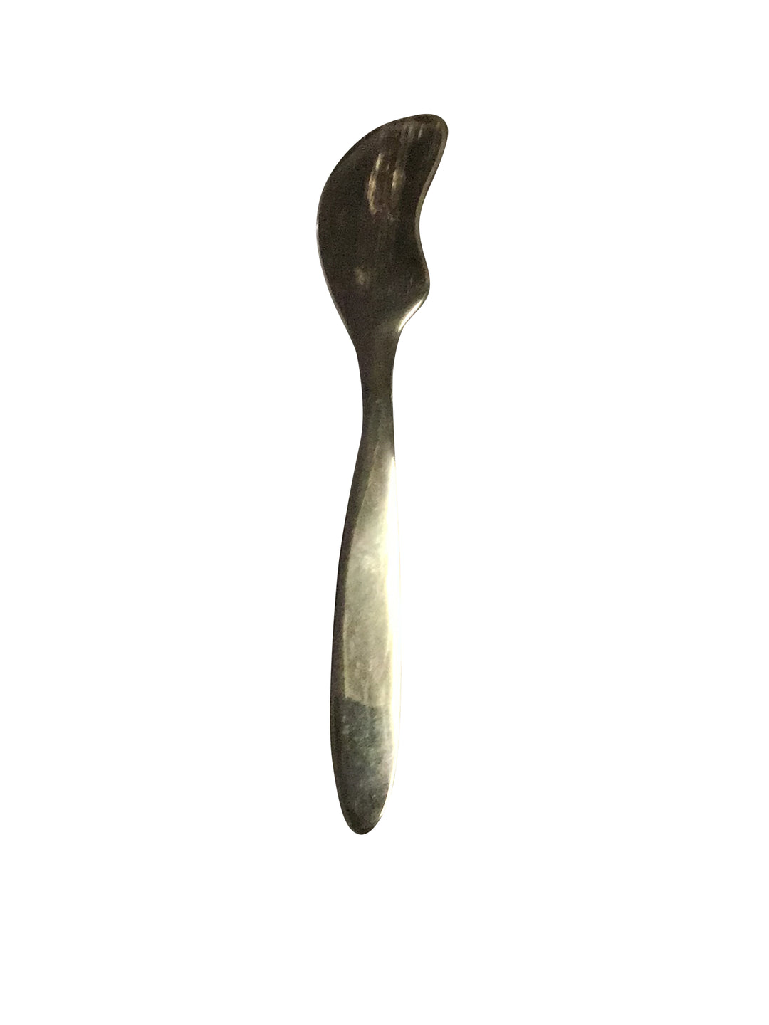 Assorted Horn Set of 2 Spreaders