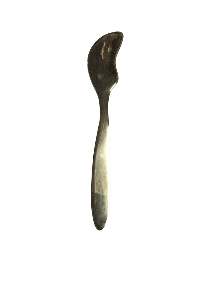 Assorted Horn Set of 2 Spreaders