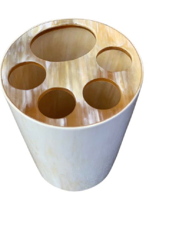 Tooth Brush Organizer / Holder