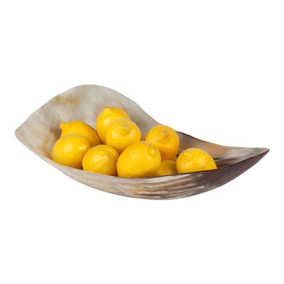 Versatile Horn Decor / Display Bowl