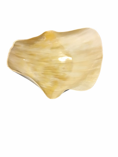 Oblong Fruit / Salad Horn Bowl
